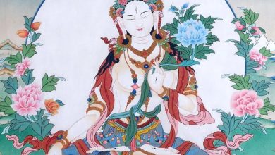 Photo of Происхождение и значение Tarbey